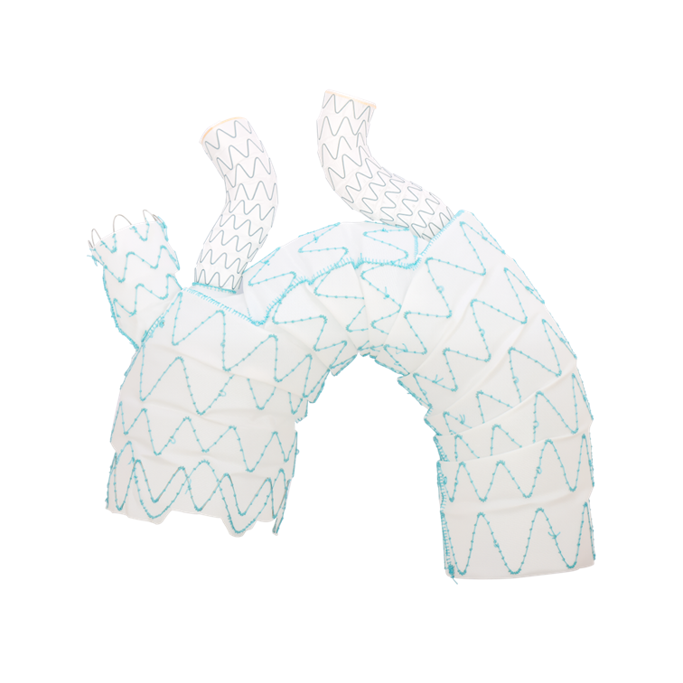 Hector™ Multi-Branch Thoracic Stent Graft System